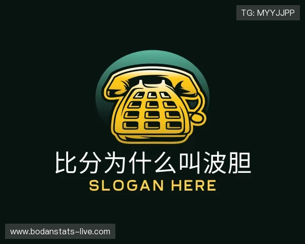 了解波胆足球